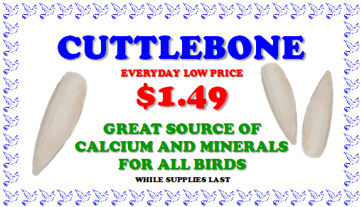 cuttlebone health chew bird sale coupon