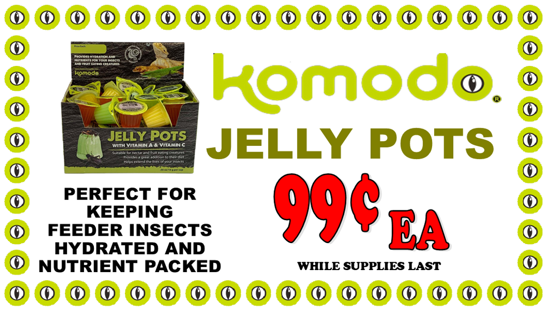 komodo jelly pots reptile sale coupon